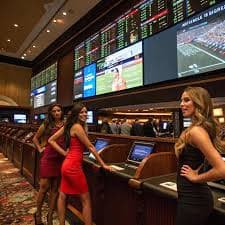 f8bet01